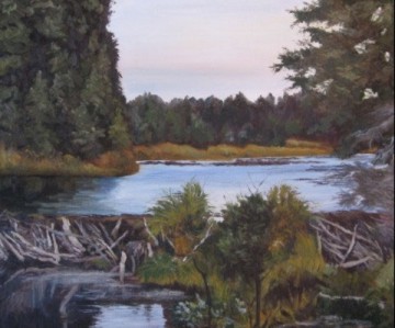 Beaverdam