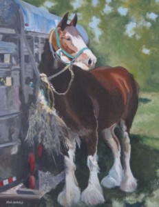 Belgian Mare