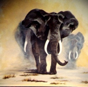 Elephants