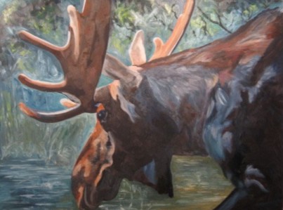Moose #1