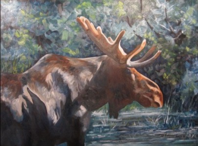 Moose #2